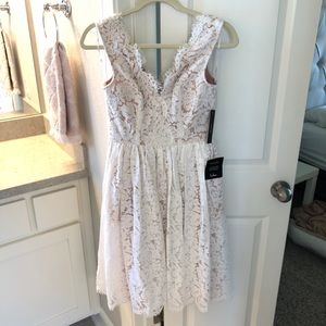Lulus Lace Dress